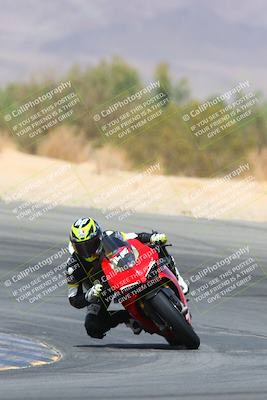 media/Apr-10-2022-SoCal Trackdays (Sun) [[f104b12566]]/Turn 10 (1pm)/